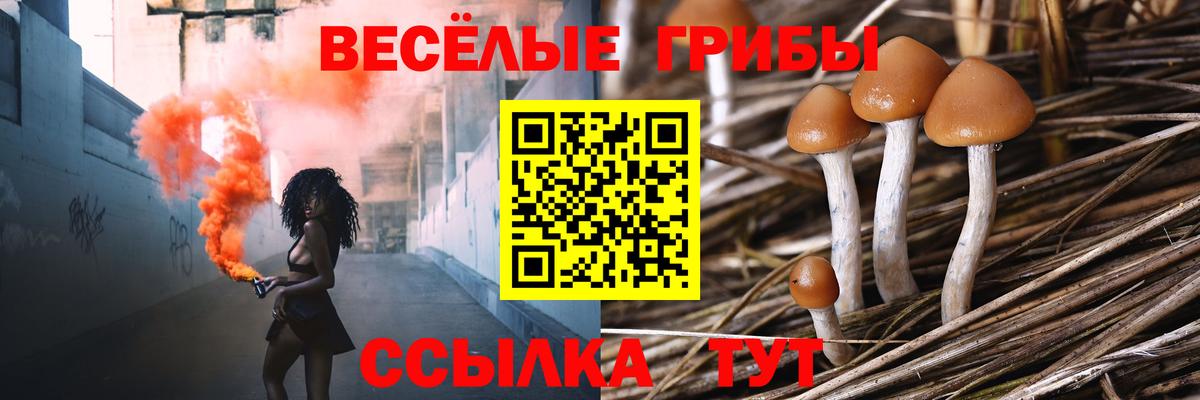 Галлюциногенные грибы Magic Shrooms  Галлюциногенные грибы Magic Shrooms  Еманжелинск  Вход с VPN 